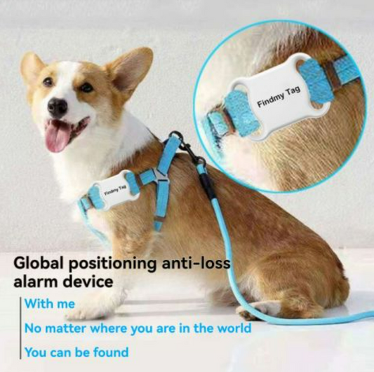 FindMy™ Tag: Pet Global GPS Locator