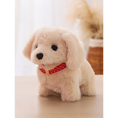 🐶 NICCO Pet Accessories - 5 Piece Set (The Perfect Match 🎀)