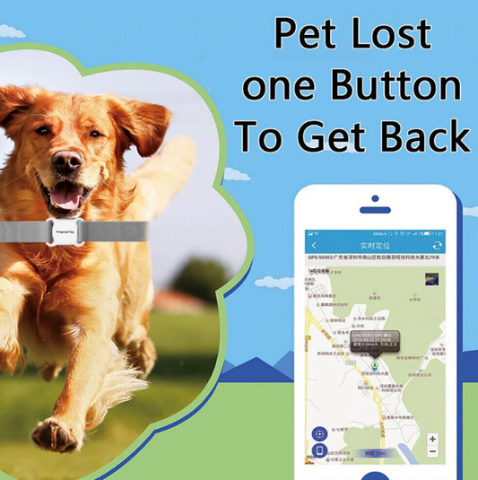 FindMy™ Tag: Pet Global GPS Locator