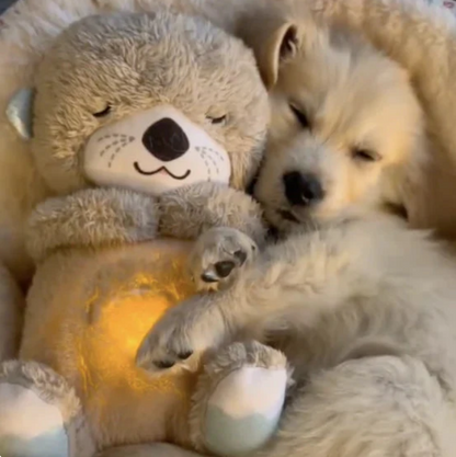 Calming Otter Plush | Instant Relief for Puppies and Kittens from Stress & Anxiety