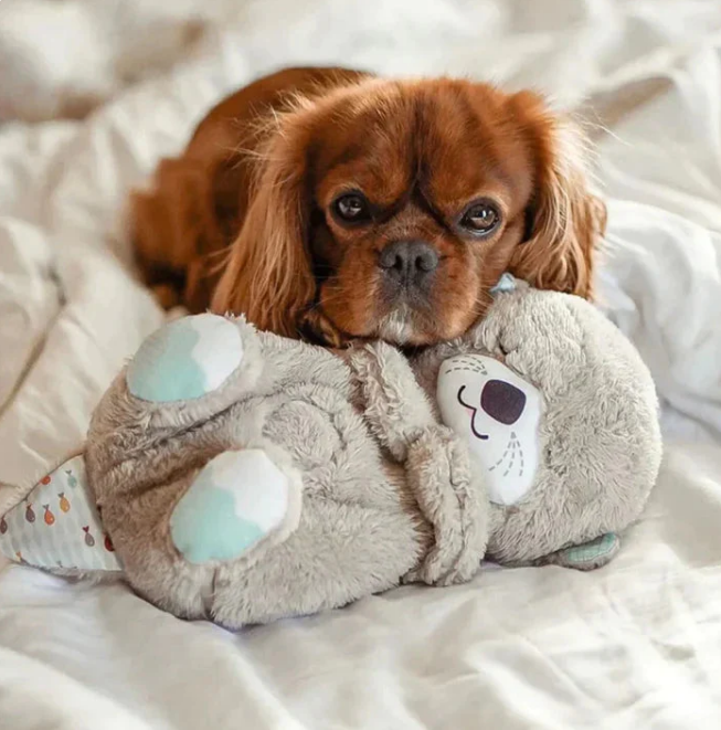 Calming Otter Plush | Instant Relief for Puppies and Kittens from Stress & Anxiety