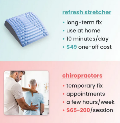 EasyRoad™ Back Stretcher