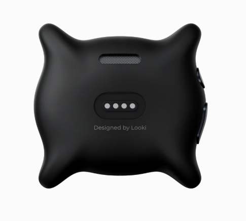 Looki L1 - My personal AI