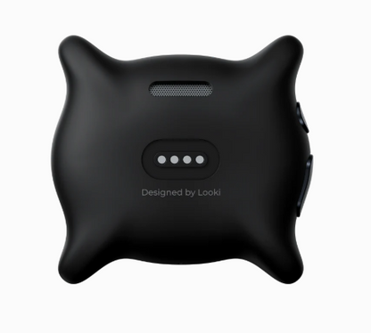 Looki L1 - My personal AI