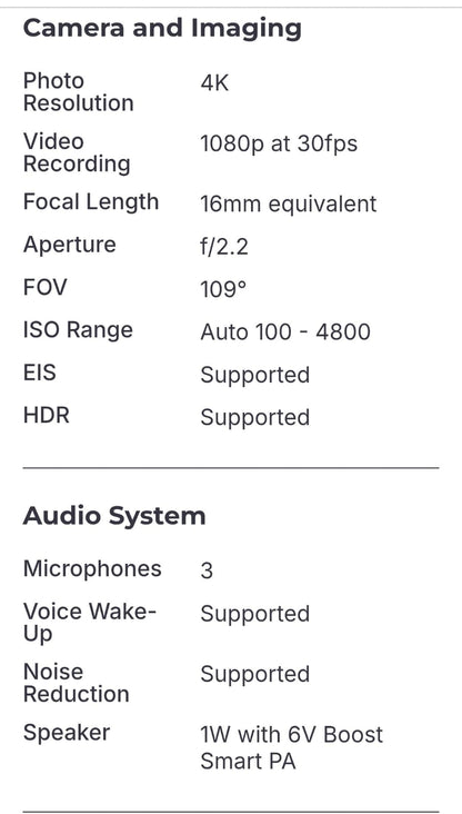 Looki L1 - My personal AI